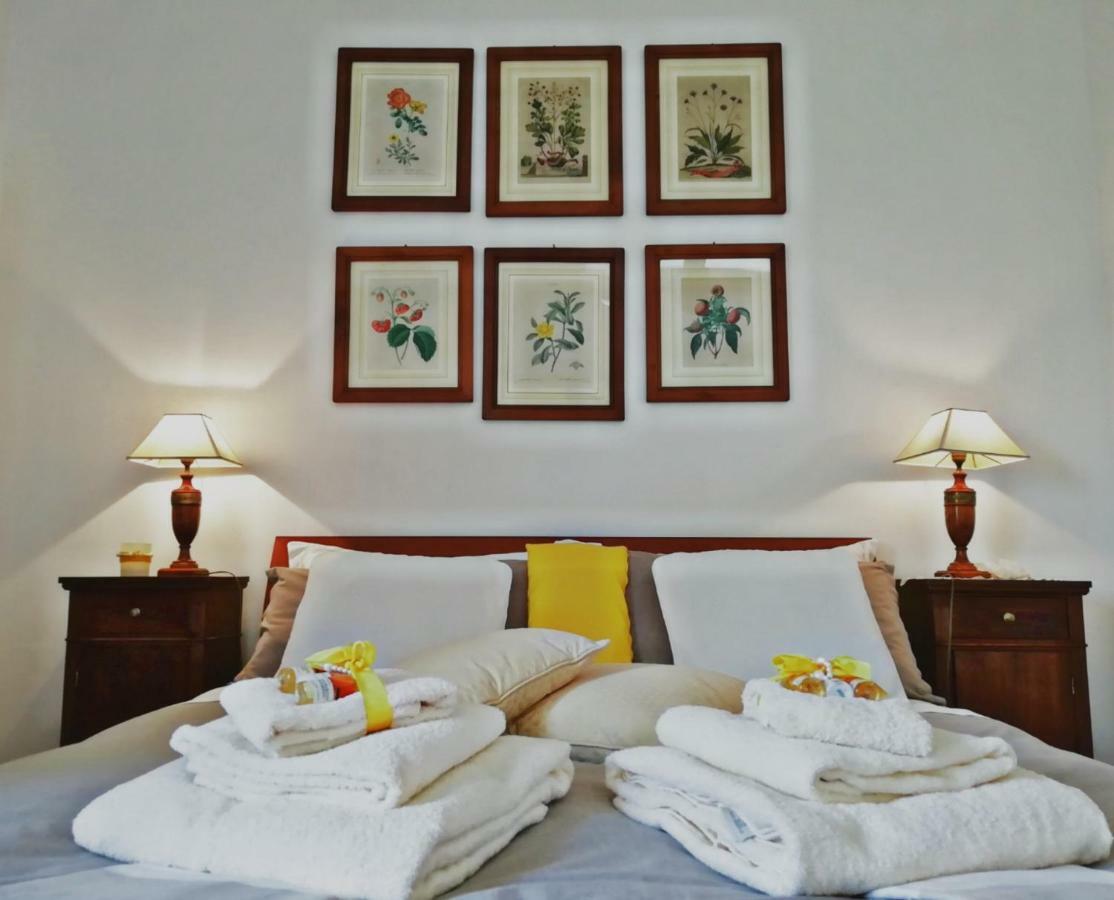 Bed and Breakfast Il Montelletto à Santa Luce Extérieur photo